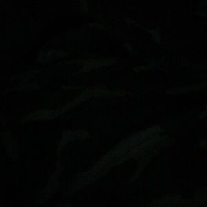 Meet your Posher, Arianna